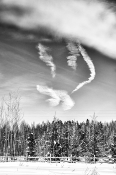 Пейзажизнь / ***