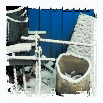 &nbsp; / зимний трешевидный натюрморт )