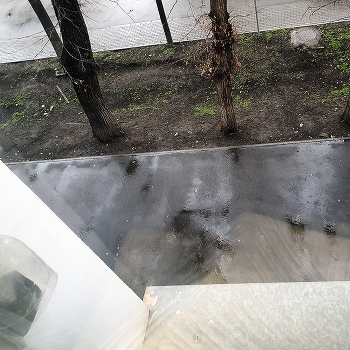 &nbsp; / А из нашего окошка.