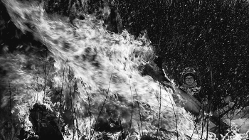 Жизнь вокруг / ***