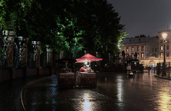 летний дождь / ***