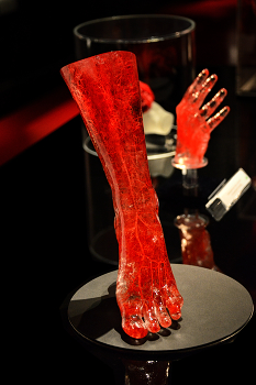 Сюрреализм. / Участник тематического конкурса 35AWARDS: Сюрреализм. По
результатам основного голосования работа автора вошла в TOP
34% лучших фотографий конкурса.