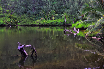 Лиман / Сейшелы, остров Праслин
