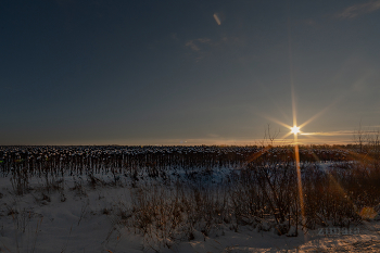 зимнее поле на закате / по дороге в Тульской области