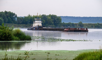 Буксир. / На Оке.