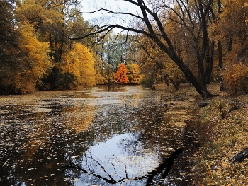 Речка Таракановка / это тоже в Екатерингофе