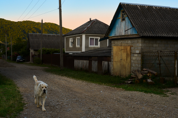 без назв / ***