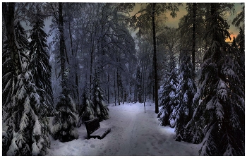 В вечернем парке / Зимний парк. Вечерние сумерки.