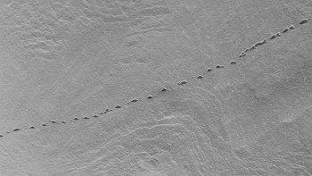 Пейзажизнь / ***