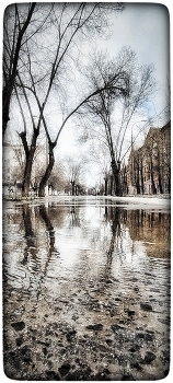 Февраль... оттепель... / ***