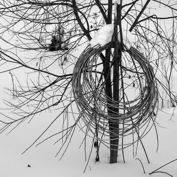 Жизнь вокруг / ***