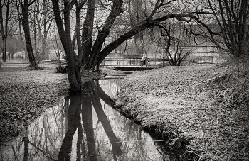Ноябрьский сюжет из города С / Серпухов, поздняя осень 2025 год. Речка Серпейка.