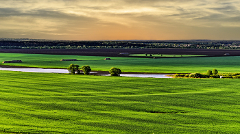 Пойма реки Оки / Пойма р еки Оки в окрестностях г. Перемышля (Калужская область)