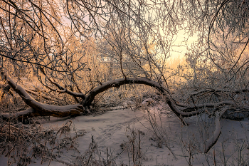 Январский рассвет / За бортом морозец -30...