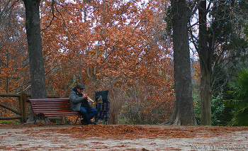 Дуэт, Трубачь и Осень.. / Испания, Мадрид, Parque del Retiro