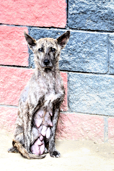 Гламур_но / ***