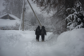 Домой... / Деревенские зарисовки