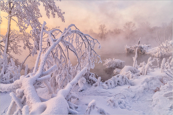 По морозцу на Крещенский сочельник / Накануне Крещения розовый морозный рассвет.