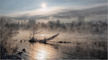 В январском тумане... / Мороз -30 С!