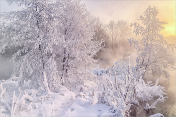 В морозных дебрях. / Морозное утро, рассвет, деревья в инее, свежий пушистый снег.