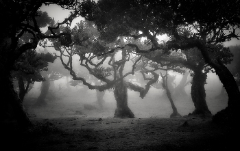 Волшебство Португалии... / Волшебство Португалии...