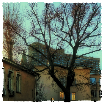 &nbsp; / на задворках Нового Арбата. Москва