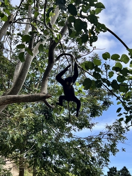 На прогулке / ***