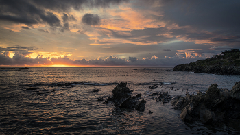 Утренняя песня / Коста Брава