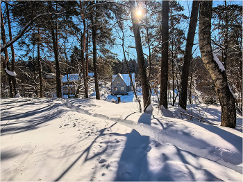 В снегах. / февраль 2026.