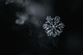 Тихий звон тишины... / ***