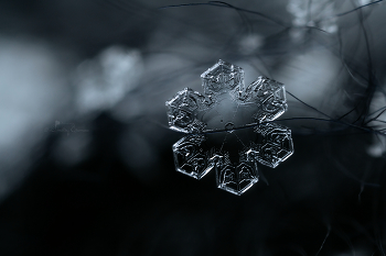 Хрустальный цветок.. / ***