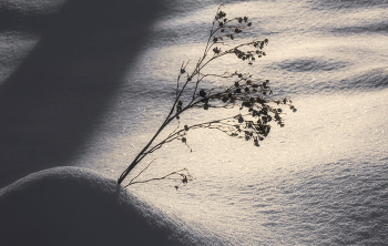 Миниатюра. Или в поисках формы... / ***