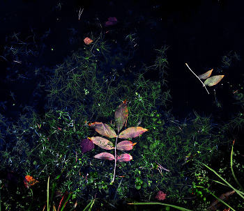 Объяли меня воды до души моей..._3 / ...