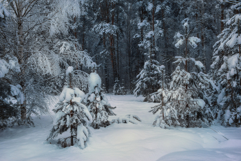 Зимние фантазии / Февральские зарисовки