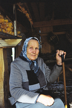 0005 / Pentax SPF + 35/3,5
Kodak Gold 100