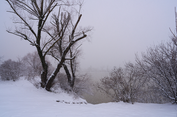 заметает метель заметает / ***