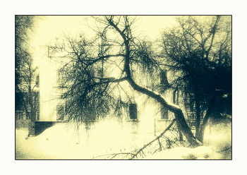 Зимняя хмарь / Архив зимы