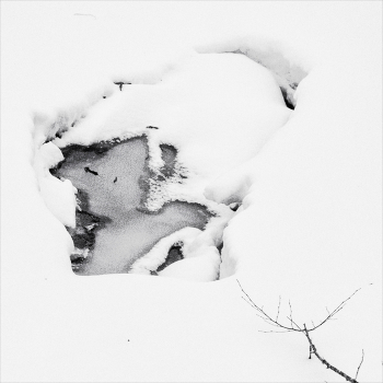 Жизнь вокруг / ***