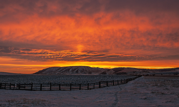 Зарево утра / ***