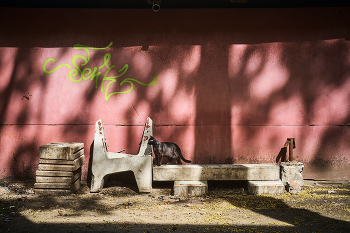 для Nada 65 03 / цветная и с котегом