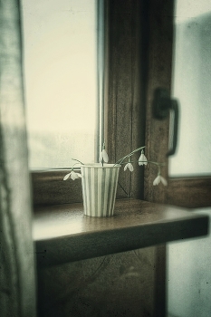 Первые... / ***