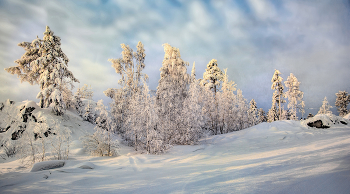 Зима в горах / ***