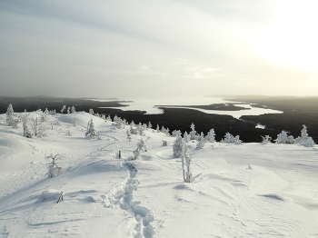 вид с горы Кивакка / Карелия, национальный парк Паанаярви, гора Кивакка