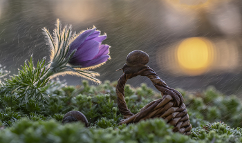 А завтра весна... / А завтра весна...