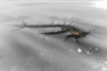 "Зверь" / Река Тобол, 2017 год.