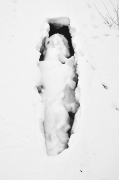 Пейзажизнь / ***