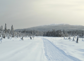 просторы Карелии / Национальный парк Паанаярви