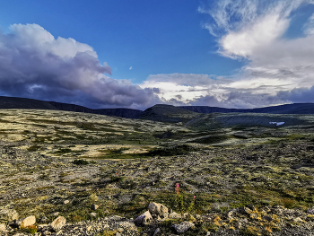 Вечер в Ловозерских тундрах / Летний вечер в Ловозерских тундрах