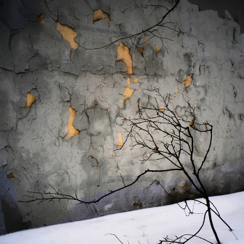 Весенний свет / ***