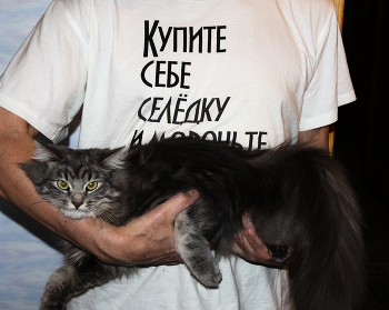 1 марта - российский день кошек. С праздником. / ...